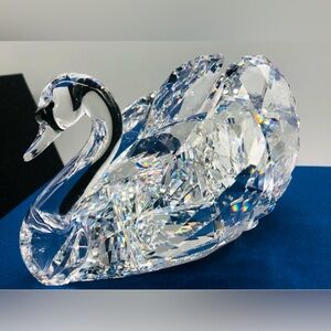 Swarovski graceful swan  brand new in box w/COA